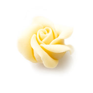 Ruusu, valkoinen, 15 kpl